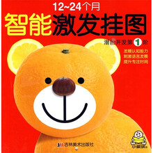 智能激发挂图：潜能开发第1阶（12-24个月）