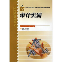 审计实训