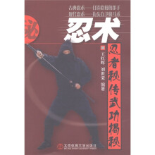 忍术:忍者秘传武功揭秘