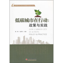 低碳城市在行动：政策与实践