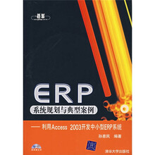 ERP系统规划与典型案例--利用Access2003开发中小型ERP系统（附光盘）
