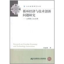 循环经济与技术创新问题研究：以钢铁工业为例