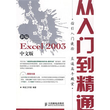 新编从入门到精通系列:新编Excel 2003(中文版)(附光盘1片)