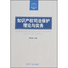知识产权司法保护理论与实务