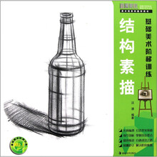 美术班系列教学用书·基础美术阶梯训练：结构素描