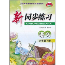 教学练·新同步练习:语文(6年级下册)(人教版)