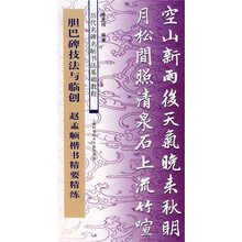 历代名碑名帖书法基础教程·胆巴碑技法与临创 赵孟頫楷书精要精练