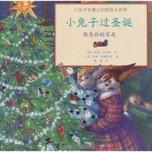小兔子启蒙认知图画书系列·小兔子过圣诞：熟悉你的家庭