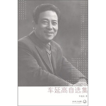 车延高自选集