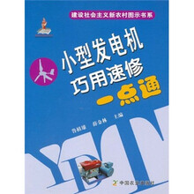 小型发电机巧用速修一点通