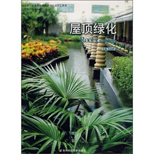 屋顶绿化