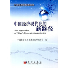 中国经济现代化的新路径