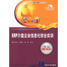ERP沙盘企业信息化综合实训(配DVD光盘1张)