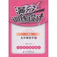 满分训练设计:9年级化学(下)(人教版)