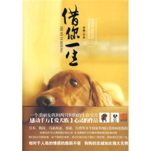 借你一生