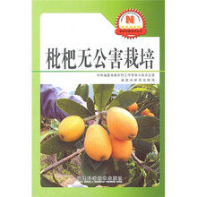 枇杷无公害栽培
