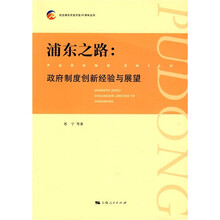 浦东之路：政府制度创新经验与展望