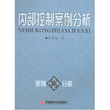 内部控制案例分析