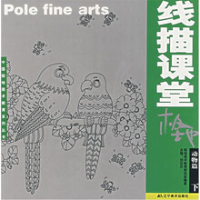 极地线描课堂：动物篇（下）