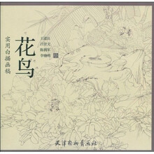 实用白描画稿：花鸟