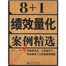 8+1绩效量化案例精选