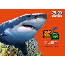 鲨鱼:海中霸王
