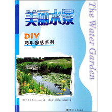 美丽水景