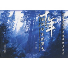 被风吹乱的夏天