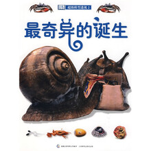 超级模型透视2:最奇异的诞生