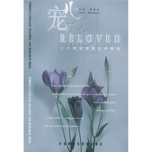 二十世纪外国文学精选:宠儿