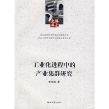 工业化进程中的产业集群研究