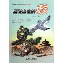 《黑眼圈的赛鸽》第2部:亚陆上空的精灵(图文版)