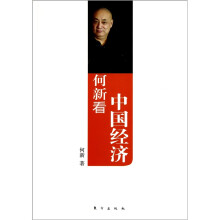何新看中国经济
