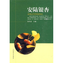 安陆银杏