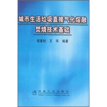 城市生活垃圾直接气化熔融焚烧技术基础