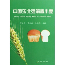 中国东北强筋春小麦