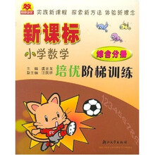 新课标小学数学培优阶梯训练（综合分册）
