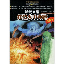 少年侦探在行动·哈代兄弟:在烈火中奔跑