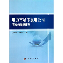 电力市场下发电公司竞价策略研究
