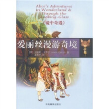 爱丽丝漫游奇境：镜中奇遇
