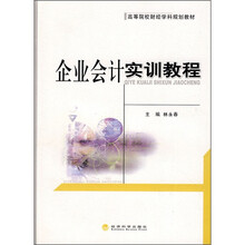 高等院校财经学科规划教材：企业会计实训教程