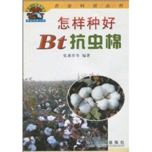 怎样种好Bt抗虫棉