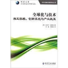 全球化与技术相互依赖、创新系统与产业政策