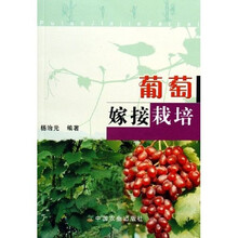 葡萄嫁接栽培