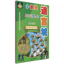 小机灵迷宫城（套装共4册）
