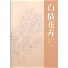 花卉白描：玉兰
