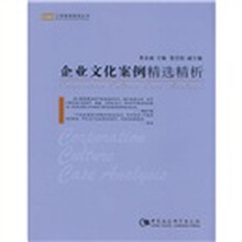 企业文化案例精选精析