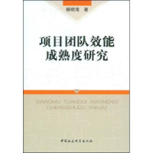 项目团队效能成熟度研究