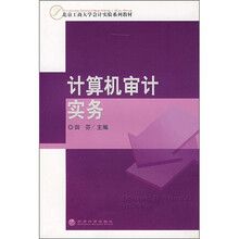 北京工商大学会计实验系列教材：计算机审计实务