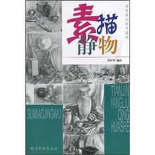 美术基础教学辅导：素描静物